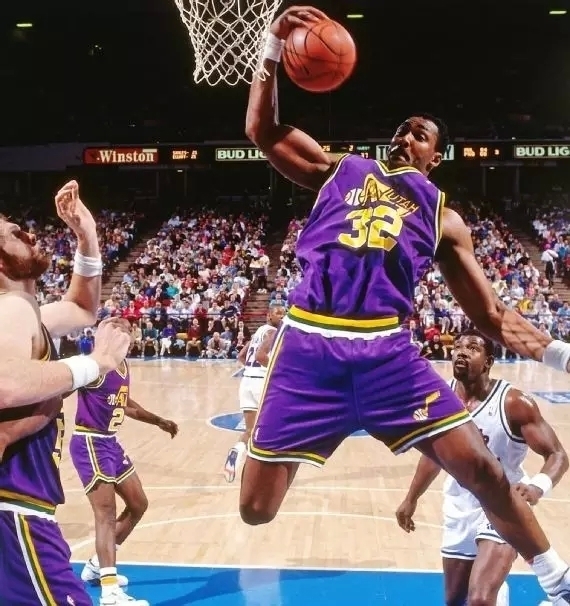 的多样性 的多样性