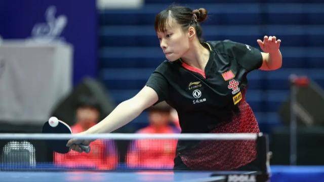 毛球天才 毛球天才