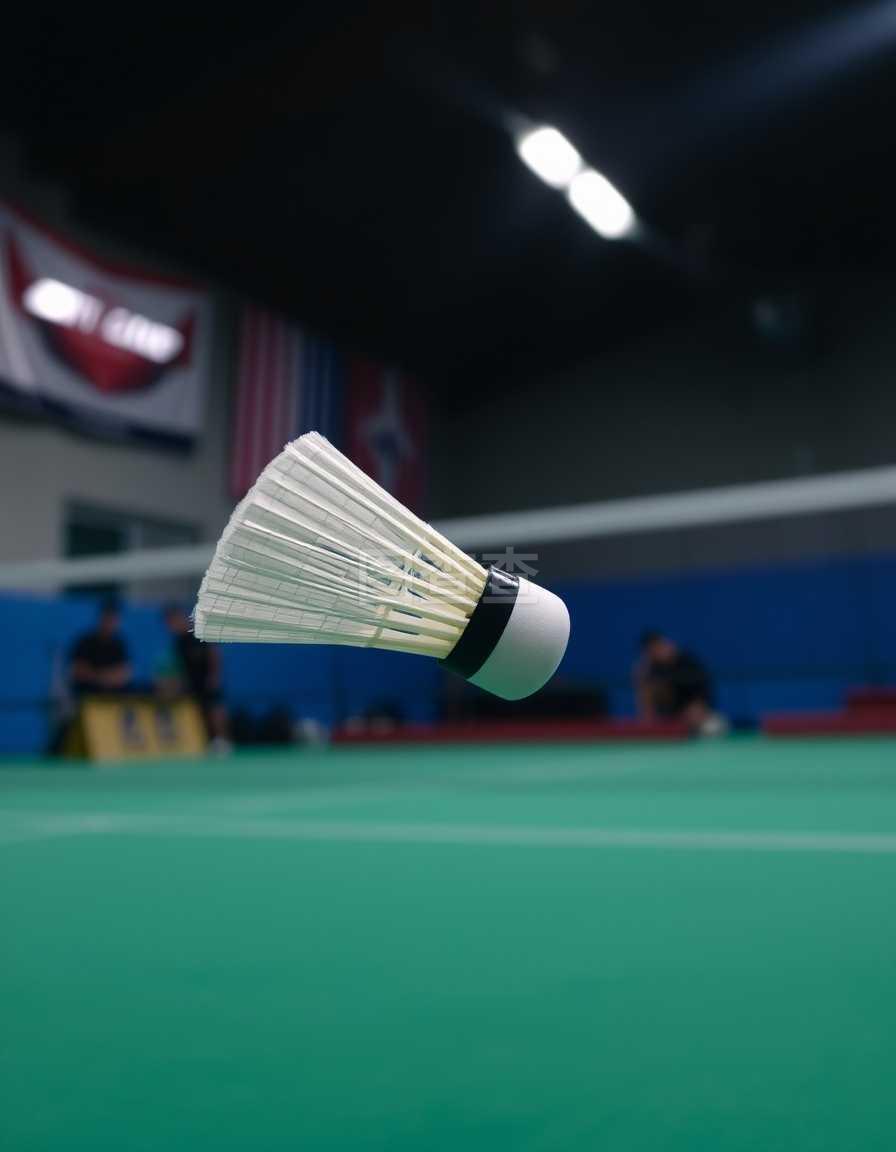 把双刃剑 把双刃剑