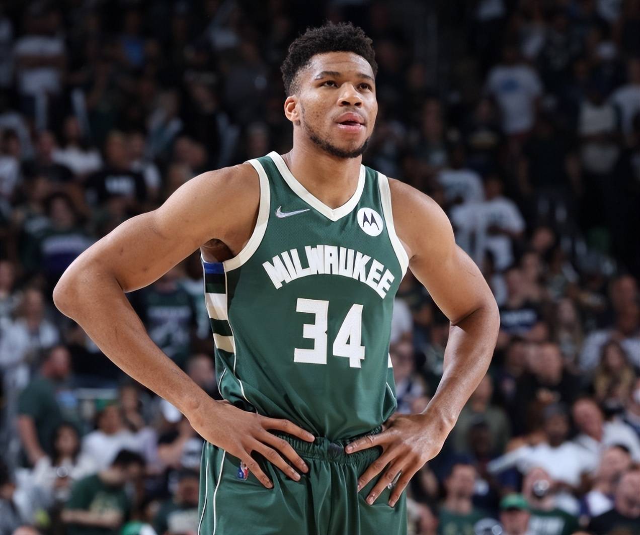 的稀缺资源 的稀缺资源